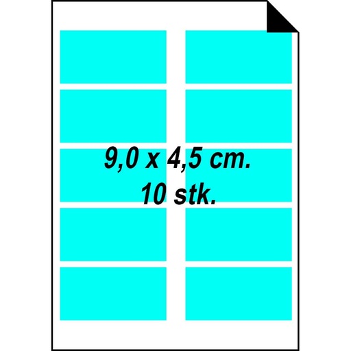 Home Tattoo 9 x 4,5 cm